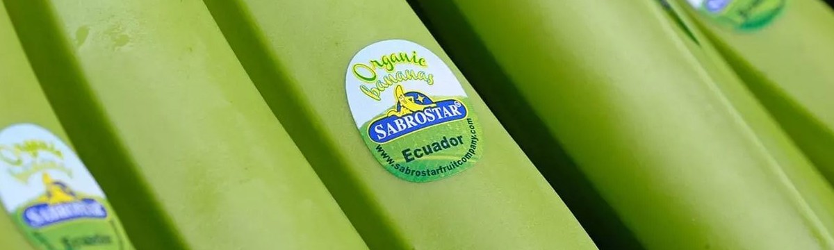Sabrostar Organic Bananas