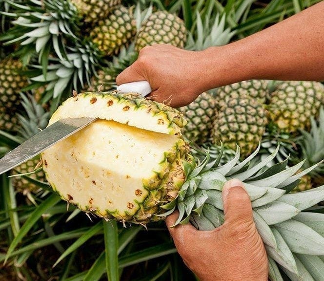 Pina – SPANISH – Sabrostar